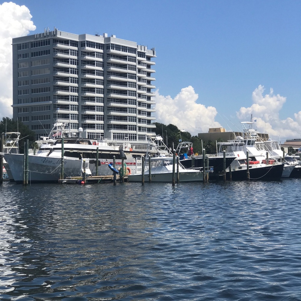 Meet your Posher, Grace